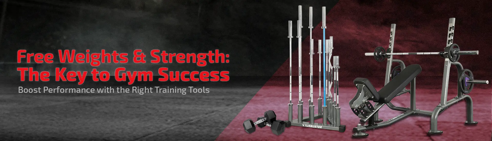 Free Weights & Strength Training Equipment: The Perfect Blend for a More Efficient Gym
