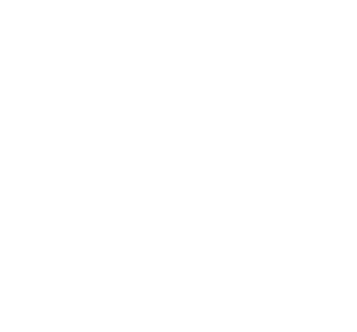 Watermark