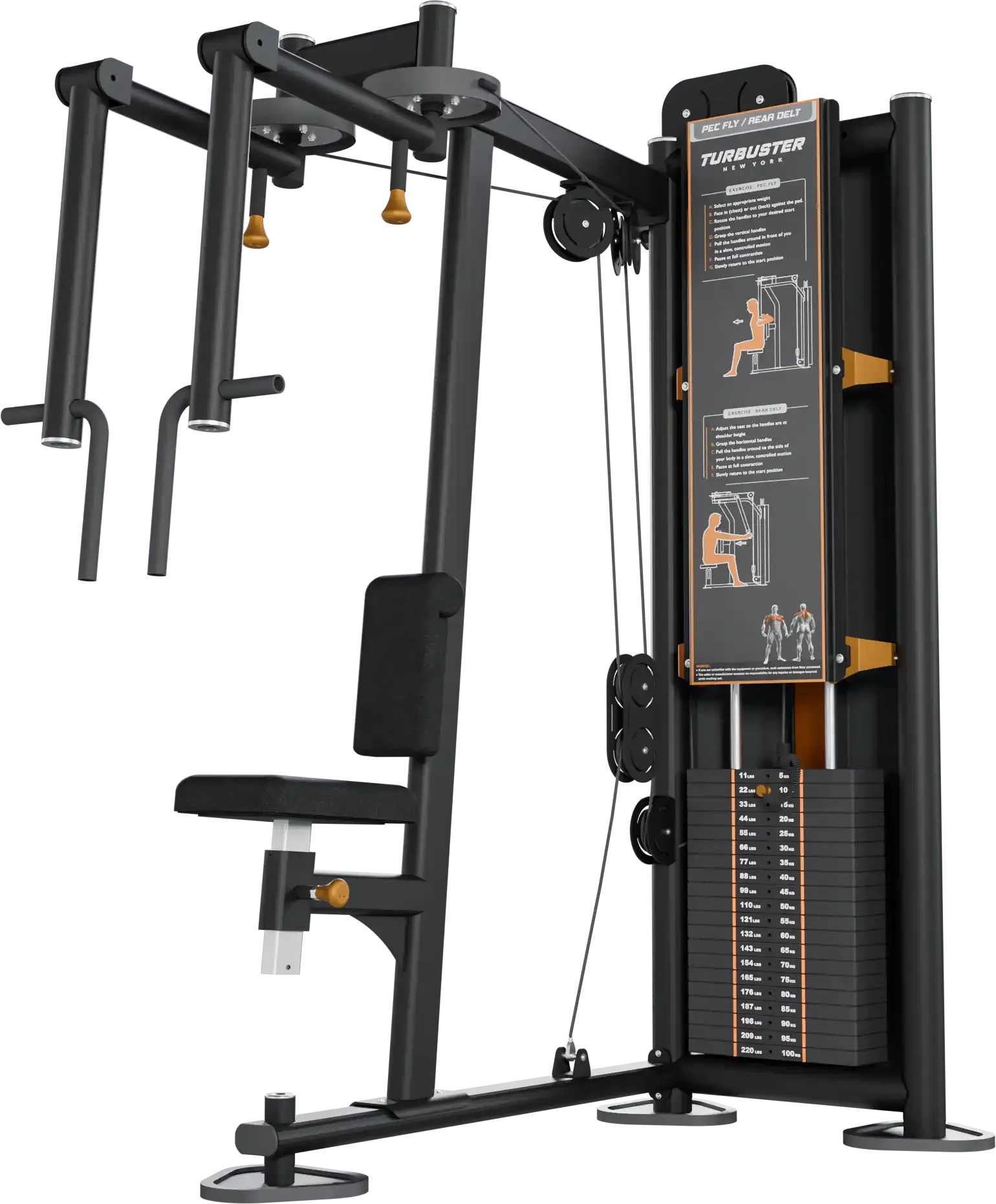 edf104-pec-fly-rear-deltoid